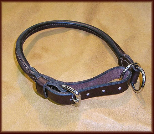 Combination choke/buckle collar - englishck