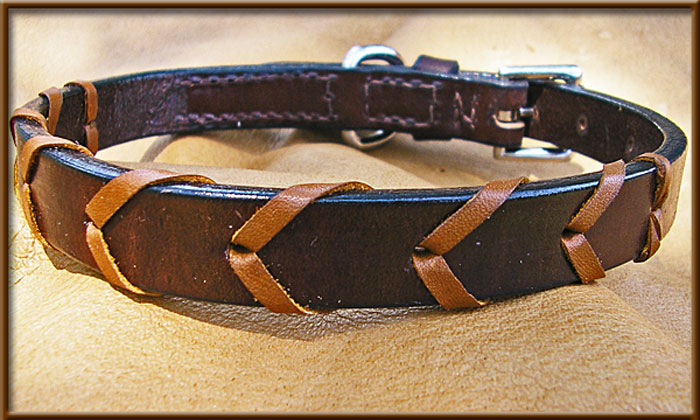 English Bridle leather Laced Collar - bucklecollar