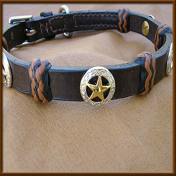 English Bridle Leather with Gold and Silver Star concho - EBLsilver