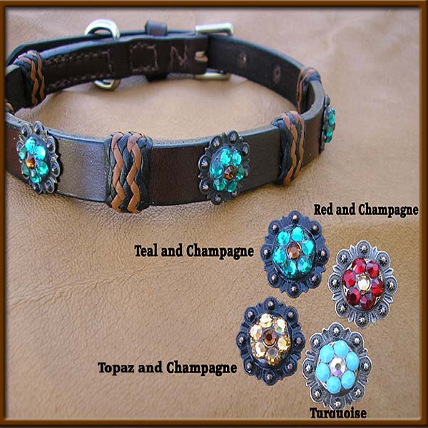 English Bridle Leather with Teal and Champagne Concho - EBLsilver