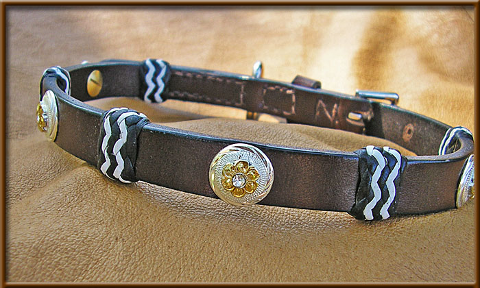 English Bridle Leather Collar Single ply with Silver Conchos and Buttons - EBLsilver