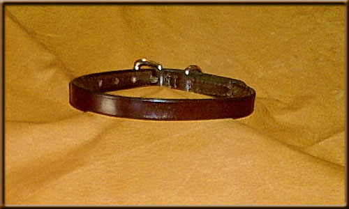 English Bridle Leather Collar Single Ply - bucklecollar