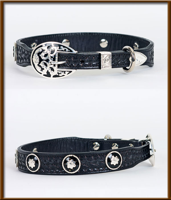 Tapered collar w/black and silver buckle and conchos - silverandcrystalbuckles