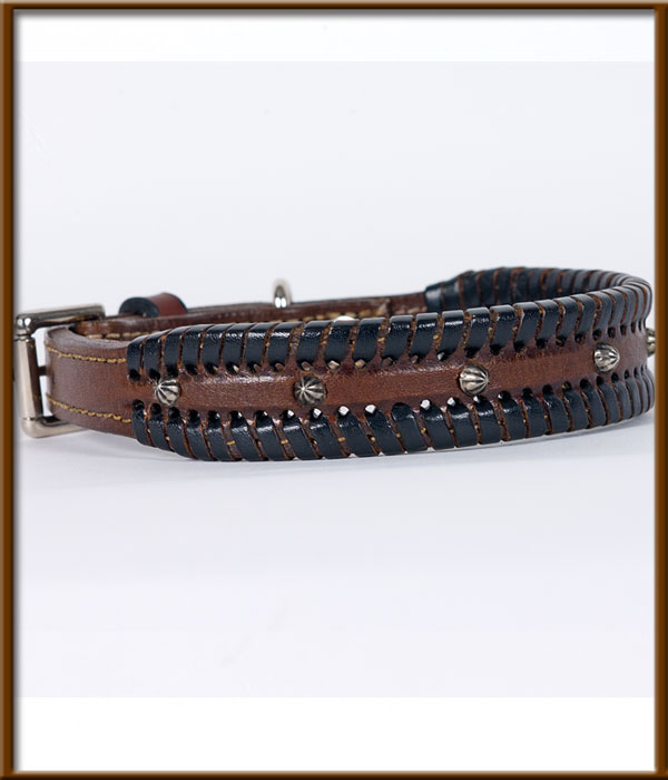Tapered Laced Collar with Small Studs. Comes in Chocolate with Black Lacing - silverandcrystalbuckles