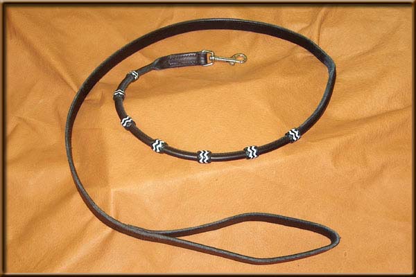 Rolled English Bridle Leather Lead with Button Accents - EBLLTHR
