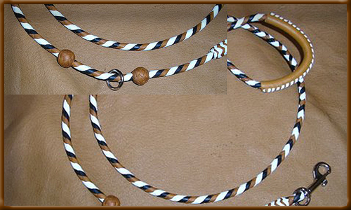Braided Agility Lead with Sliding Buttons & Floating Ring - leather lead