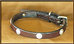 English Bridle Leather Collar Single ply with Silver Conchos - EBLsilver